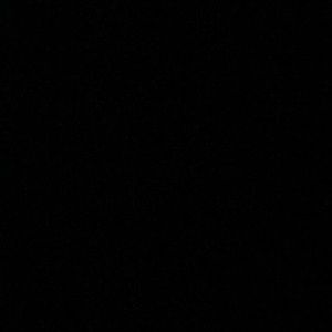 Meet your Posher, Brandyn